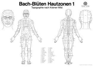 Poster Bachblüten 1