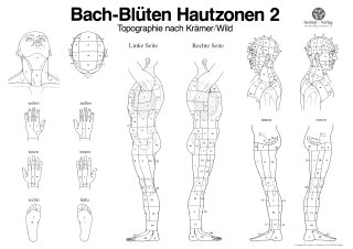 Poster Bachblüten 2